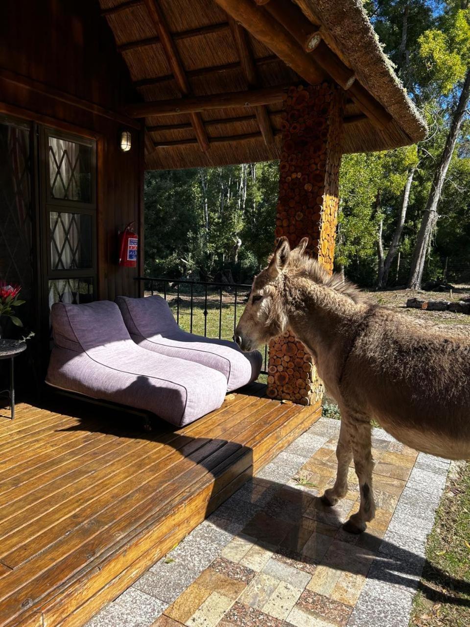 Villa Shabby Fufu Lifestyle Farm Plettenberg Bay Exterior foto